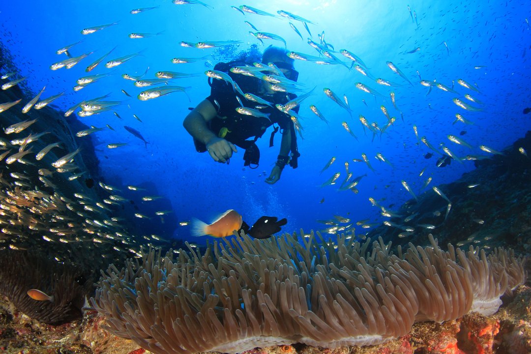 Utopia Adası 